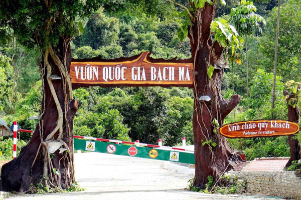 Bach Ma National Park Day Trip